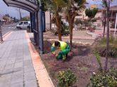 El Ayuntamiento recoloca 2.000 metros de tubera de riego en guilas