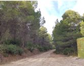 Medio Ambiente concluye la restauraci�n forestal de la Sierra de Lavia con una inversi�n superior a 565.000 euros