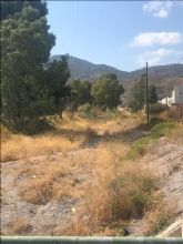 El Ayuntamiento de Lorca inicia una campaña de desbroce y limpieza de las ramblas de Las Chatas, Las Señoritas, Los Peñones y la del Cementerio