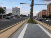 El PSOE defender en el Pleno la construccin de un carril bici directo y segregado del trfico motorizado entre Murcia y el campus de Espinardo