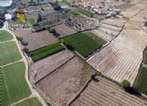 La Guardia Civil esclarece las irregularidades en una produccin de variedades de almendro protegidas