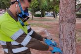 Parques y Jardines finaliza el tratamiento en pinos para el control de la procesionaria