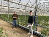 Estudiantes del Máster en Industria 4.0 aportan inteligencia artificial y robótica a la producción de tomate