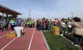 Las olimpiadas de la alcachofa reunir�n a cerca de 300 escolares de ocho colegios de la Vega Baja