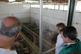 La Comunidad destinar 55.000 euros para potenciar la creacin del Centro Regional de Inseminacin Artificial de ganado porcino