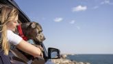 1 de cada 5 perros padece ansiedad  5 tips para viajar con tu mascota sin que sufra