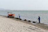 Litoral retoma la limpieza de playas y formará equipos mixtos con la CARM para la retirada de algas