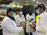 El consejero Luengo pone de relieve la apuesta de Levante Sur y Jimbo Fresh por la tecnificacin y la agricultura sostenible de precisin