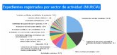 Detalle de los ERTE por actividad económica en los 45 municipios de la Región