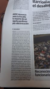 ANSE indica que, a pesar de lo publicado, el tendido donde se electrocut el guila perdicera no haba sido corregido