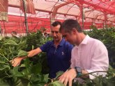 Cerca de 3.000 productores apuestan por la agricultura ecolgica en la Regin