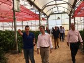 La cooperativa Hortamira dedica el 60 por ciento de su produccin a la agricultura ecolgica con el objetivo de llegar al 100 por cien
