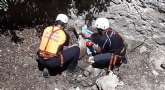 Rescatan un arru que haba cado a un Pozo de la Nieve en Sierra Espua