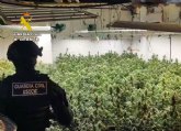 La Guardia Civil desarticula un clan familiar dedicado al cultivo y elaboraci�n de marihuana