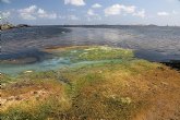 Los nitratos han sido una de las causas del deterioro de Mar Menor; pero no la única