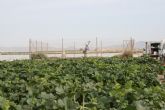 El sistema de informaci�n agrario bate r�cord con casi 7,5 millones de visitas y se consolida como pilar tecnol�gico de la eficiencia h�drica