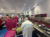Moyca impulsa la inclusi�n laboral con la incorporaci�n de 31 personas con discapacidad para la campana de uva 2026