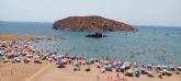 Vecinos y Ecologistas exigen vigilancia y control en La Isla de Mazarr�n