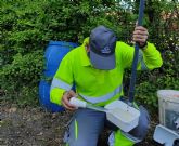 Lok�mica asume en Euskadi un servicio estrat�gico de investigaci�n entomol�gica frente a arbovirosis