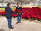 El Ayuntamiento de Lorca iniciará durante los próximos días la plantación de las tradicionales flores de pascua en los parques y jardines del municipio