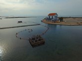 El Consejo Asesor Regional de Medio Ambiente da luz verde a la constitucin del Consejo del Mar Menor y al Comit de Asesoramiento Cientfico