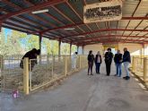 El Ayuntamiento de Puerto Lumbreras pone a punto el Mercado Comarcal del Ganado de cara a la celebracin de la Feria del Ganado Equino, este fin de semana