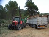 El Plan especial para la biomasa forestal contempla actuaciones en 5.179 hectáreas de montes públicos durante cuatro anualidades
