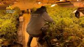 Desmantelan en Cieza un grupo delictivo juvenil que dirigía una nave industrial reconvertida a invernadero de marihuana