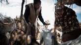 El hambre dispara la violencia y la inestabilidad en el Sahel