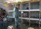La Guardia Civil investiga a un vecino de Caravaca de la Cruz por maltrato animal