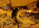 La Guardia Civil desmantela en Mazarrn un cultivo ilcito de marihuana