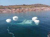 La Fundacin Estrella de Levante, la Cofrada de Pescadores, ANSE y WWF retiran barcos hundidos del Mar Menor