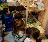 El Museo Arqueolgico acoge esta semana el ciclo de conferencias 'Historia de la seda en Murcia'