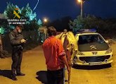La Guardia Civil sorprende a una persona dando un paseo a caballo por La Unin