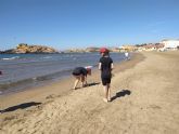 98 voluntarios limpian la playa La Reya (Mazarr�n)