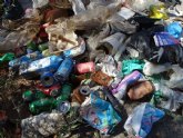 ANSE retira 20 sacos de basura de dos playas del Rincón de Cabo Tiñoso