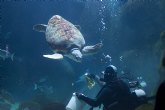 El acuario de Gijón vuelve a abrir sus puertas el próximo sábado 30 de mayo