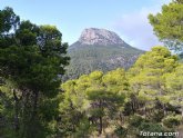 Sanitarios han atendido y evacuado al hospital a un ciclista herido en Sierra Espuña