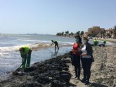 El Gobierno regional refuerza con 90 operarios la limpieza del borde litoral de las playas del Mar Menor 'ante la inacción' del Estado