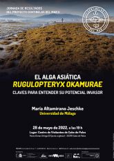 El proyecto de la UMU 'Centinelas del Mar' organiza una jornada sobre el impacto del alga asitica Rugulopteryx okamurae en el Mediterrneo