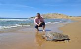 La primera tortuga boba atendida este a&ntilde;o en Centro de Recuperación de Fauna Silvestre regresa al mar en Calblanque