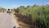 Conato el incendio de cañas en zona del río Argos (Calasparra)