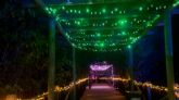 Terra Natura se ilumina las noches de este verano con el nuevo Safari de Luces