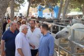 Ganaderos y amantes del mundo ecuestre se dan cita en la Feria del Ganado y el Encuentro de Carruajes de San Pedro del Pinatar