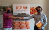 IGP Ctricos Valencianos y 'Naranjas y frutas' unen sus fuerzas para impulsar los ctricos con certificado de origen