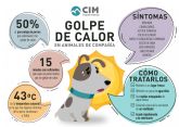 ?Cmo prevenir y actuar ante un golpe de calor en nuestro perro?