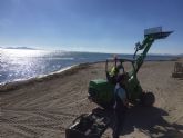 Las brigadas de limpieza retiran cada día 15,4 metros cúbicos de algas de las playas del Mar Menor