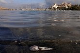 SOS Mar Menor: UATAE recuerda que el grave deterioro medioambiental pone en peligro la actividad económica y el empleo de la zona