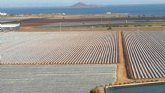 Verdes-EQUO RM reclama la eliminación de los cultivos ilegales del entorno del Mar Menor