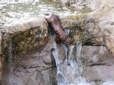 La Comunidad incorpora dos nutrias al espacio de educacin ambiental del Centro de la Recuperacin de Fauna Silvestre de El Valle